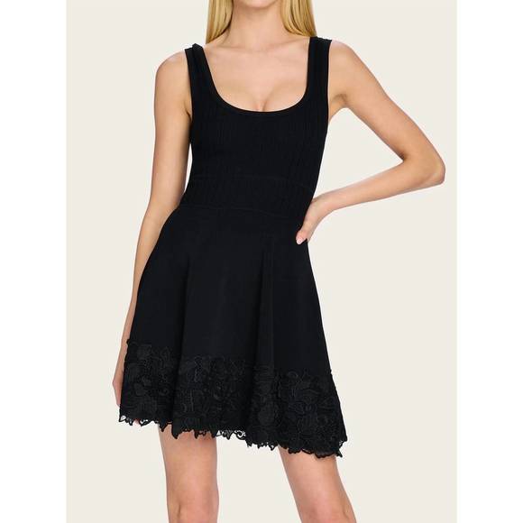 knee length dresses for ladies Anna Sui Victorian Lace Combo Drop Waist Dress main image 0